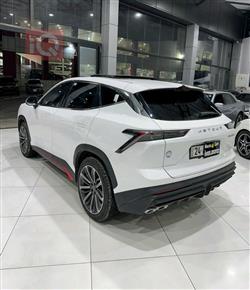 جيتور داشينج